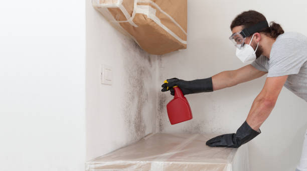 Professional Bathroom Mold Removal technician working in Haverford, PA