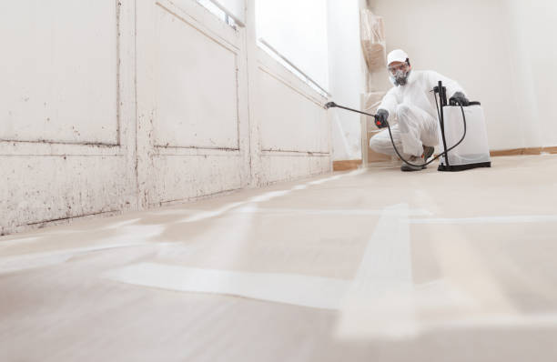 24/7 Emergency Bathroom Mold Removal experts in Haverford, PA