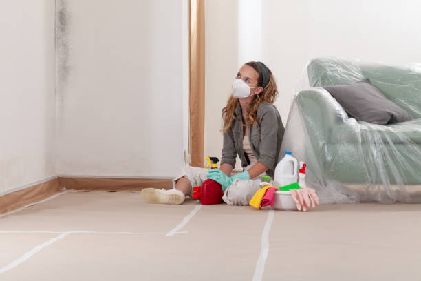 Reliable Bathroom Mold Removal contractor in Haverford, PA by WQB Mold Removal